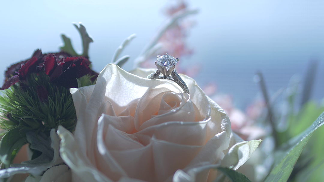 vlcsnap-2020-01-13-21h22m50s747